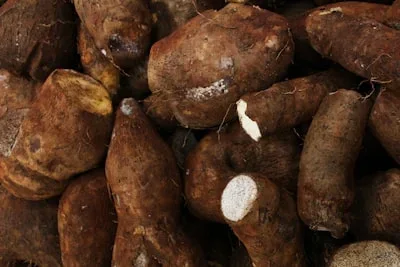 Turmeric Root, an ingredient in GlycoAid
